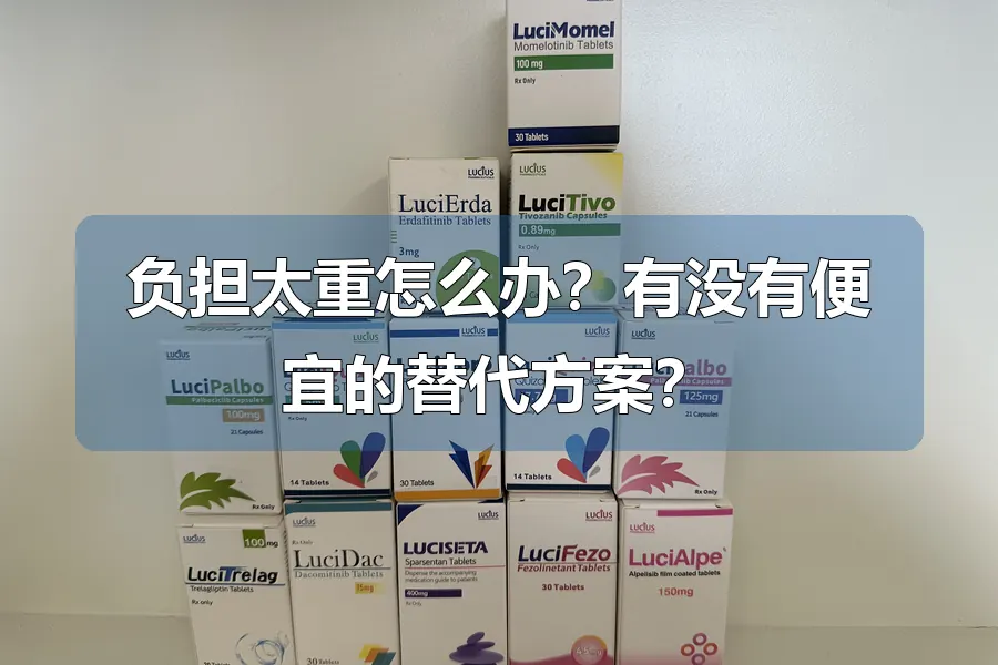 负担太重怎么办?有没有便宜的替代方案?